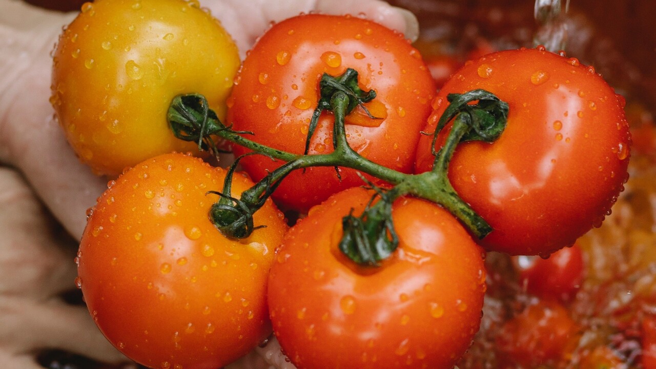 Zjedli ste rajčinu a všetko vás svrbí? Už sa jej nechytajte, iba tej uvarenej
