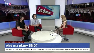 V SND sa diali mnohé zmeny. Ako sa divadlo popasovalo s pandémiou?