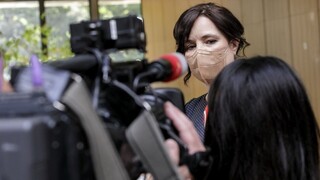 SIS treba rozpustiť a postaviť nanovo, myslí si Remišová. Mikulec má jej dôveru