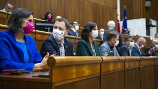 Vláda stojí za Mikulcom, s návrhom odvolať ho nesúhlasí