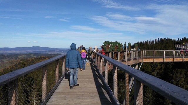 Chodník korunami stromov v Bachledovej doline.