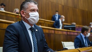 Odvolávanie Mikulca pokračuje. Do parlamentu prišla Milanová, Blaha si neodpustil uštipačný komentár