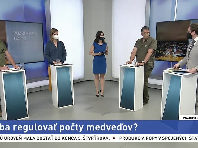 Pozrime sa na to: O medveďoch sa hovorí čoraz viac. Sú naozaj nebezpečné?