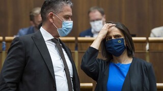 Kauza razie v Moldave nad Bodvou: Po rokoch prišlo ospravedlnenie od vlády