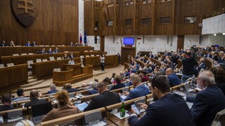 Pomoc pre Ukrajincov. Poslanci parlamentu schválili balík opatrení lex Ukrajina