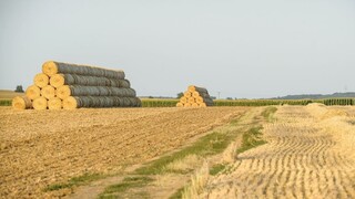 Poľnohospodári dažde vítajú, extrémne sucho ohrozuje úrodu