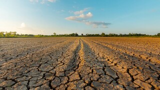 Kaufland a Lidl si stanovili ambiciózne ciele na ochranu klímy