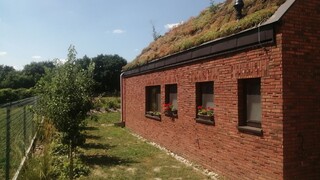 Zelené fasády - štúdia