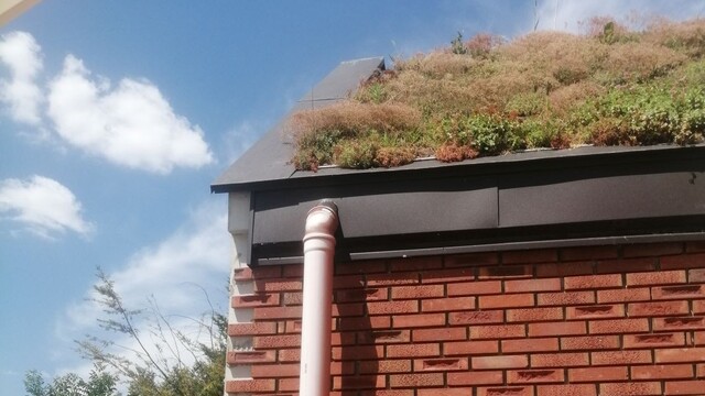 Zelená strecha v Zálesí v okrese Senec