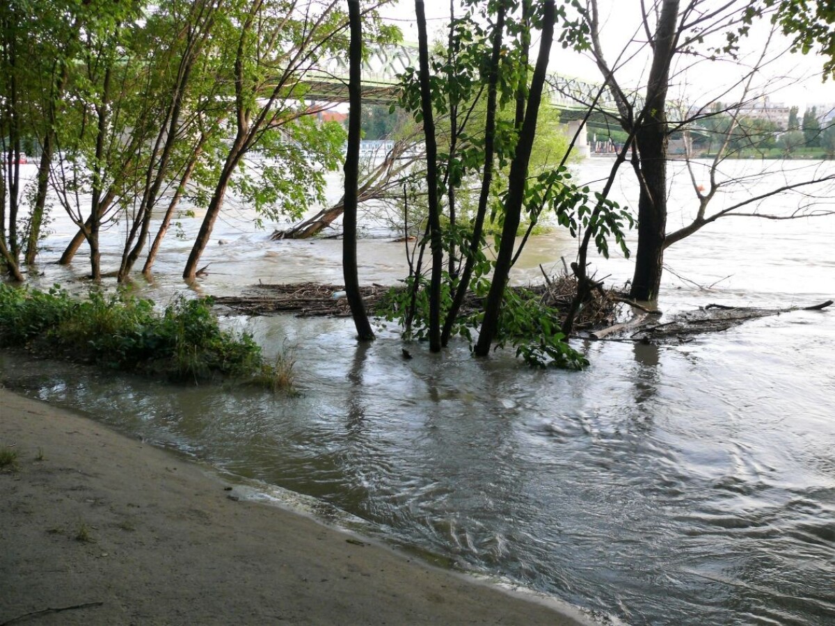 Zaplavilo aj zelené plochy pri petržalskej hrádzi