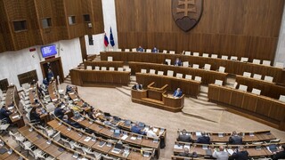 Poslanci schválili Kolíkovej návrh na zmeny pri kolúznej väzbe