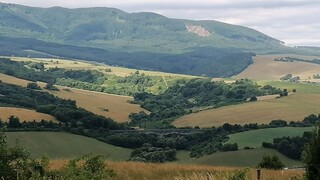 Štátny podnik Lesy SR má nové vedenie, Vlčan stiahol riaditeľa
