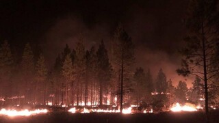 USA nezvládajú požiare, na pomoc im prichádzajú aj hasiči zo zahraničia