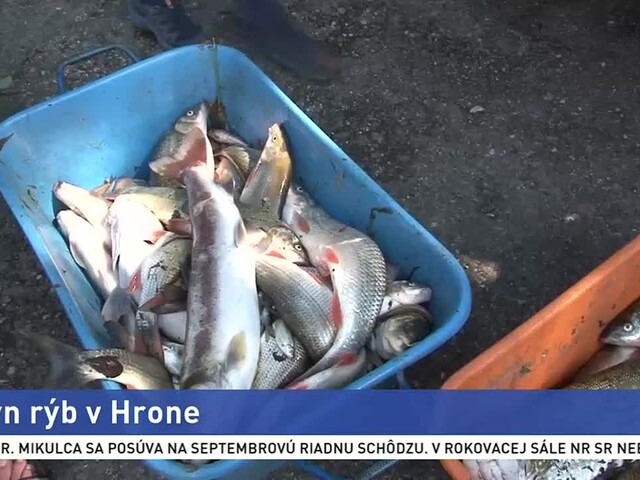 V Hrone uhynuli desiatky rýb, príčiny ekologickej havárie vyšetruje polícia