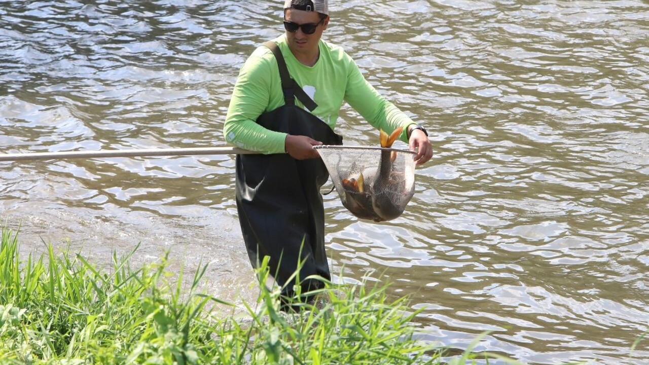 Pôvodcovi znečistenia rieky Hron hrozí vysoká pokuta