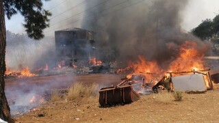 Viaceré krajiny bojujú s požiarmi, plamene najnovšie zasiahli tureckú Antalyu