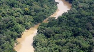 Letecký pohľad na ekvádorský národný park Yasuni v Amazonskom pralese, ktorý sa tiež otvoril ťažbe ropy.