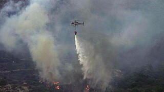 V Taliansku naďalej vyčíňajú lesné požiare. Dočasne uzavreli letisko na Sicílii