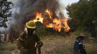 Grécko potrápil lesný požiar. Zničil niekoľko domov, ľudí museli aj hospitalizovať
