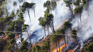 V Grécku pre rozsiahle požiare evakuujú z ostrova Evia