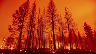 Turecko a Grécko sužujú extrémne požiare, stovky obyvateľov museli evakuovať