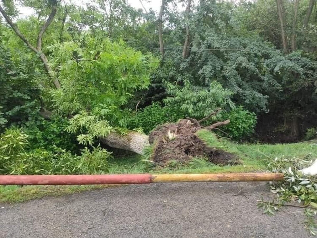 V obci Petkovce odstraňujú následky tornáda.