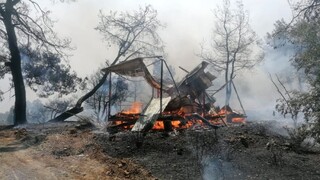 Turecko sužujú ničivé požiare, vyžiadali si osem obetí