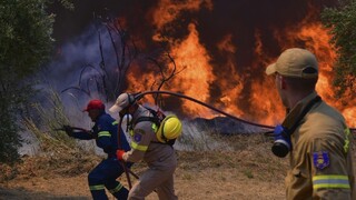 Niektorým nezostalo nič, prišli o svoje domovy. Grécko ničia požiare