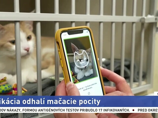 macka_2.jpg