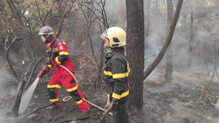 Požiare v Grécku zničili tisíce hektárov lesa. Je to ekologická katastrofa, povedal premiér