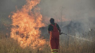 Lesné požiare neďaleko Ríma postupujú. Desiatky obyvateľov evakuovali