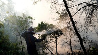 V českom národnom parku vypukol požiar, zasiahol sedem hektárov porastu