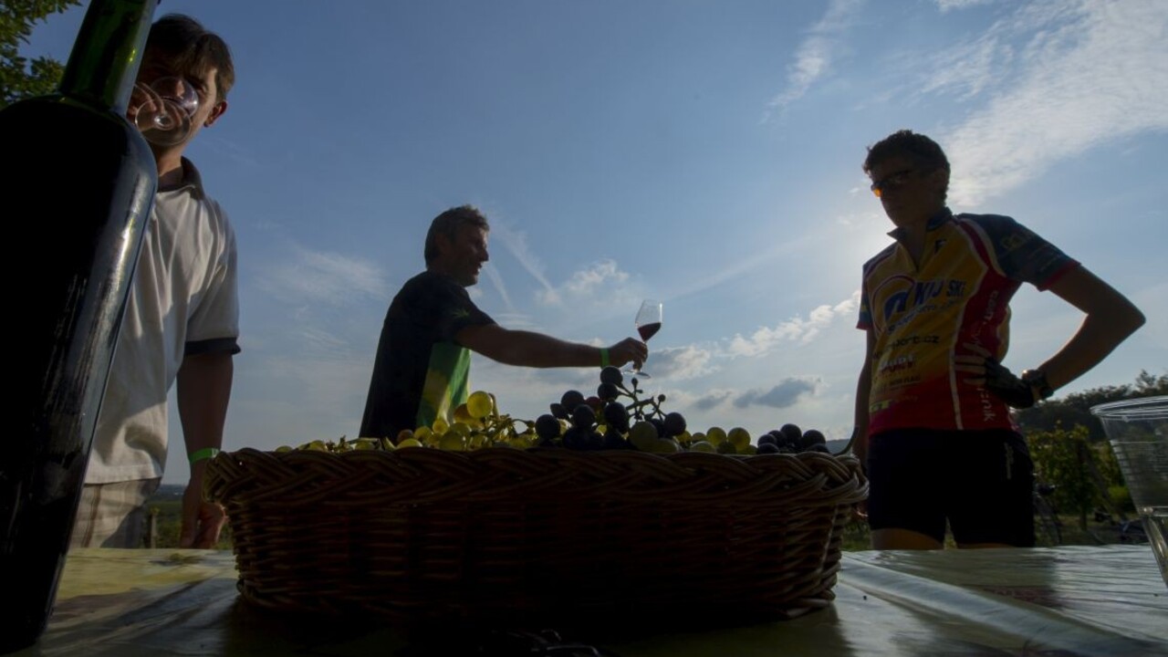 Pezinok otvorí pivnice aj dvory. Návštevníkov privíta až 17 vinárstiev