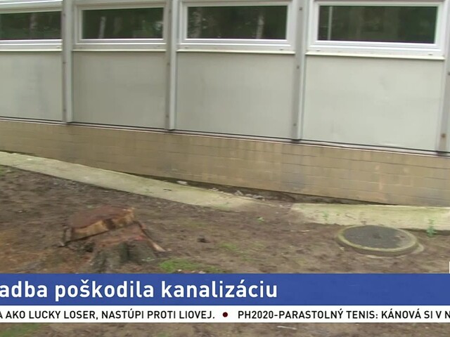 Stromy pri škole vysadili nesprávne, korene po rokoch poškodili potrubie