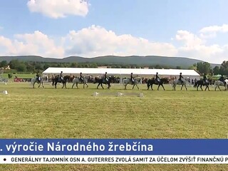20210904_slepy_zivak_nemethova_1600_2.jpg