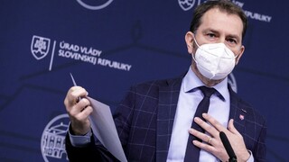 Polícia stopla vyšetrovanie 20-tisíc úmrtí z čias pandémie. Covidový manažment Matovičovej vlády obstál