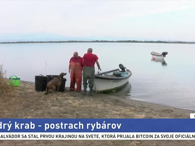 screen_rybar_1.jpg