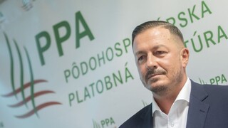 PPA sa kráti čas, funguje len vďaka dočasnej akreditácii