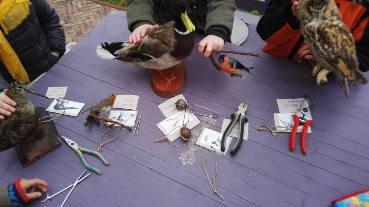 Prepájanie teórie s praxou - prírodoveda