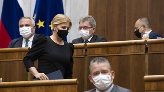 Nastavila zrkadlo poslancom. SaS súhlasí s prezidentkou, že krajina potrebuje stabilitu