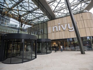 Nivy
