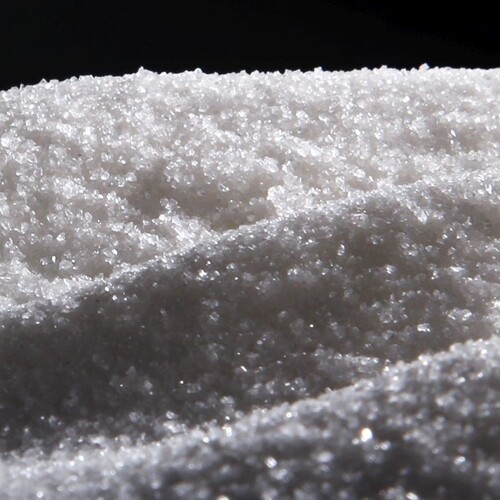 Rozbehla sa cukrovarnícka sezóna, repu zvážajú do posledných podnikov na Slovensku