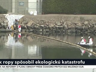 ropa_5.jpg