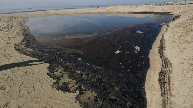 test-zaúčanie: Do mora uniklo veľké množstvo ropy, spôsobilo to ekologickú katastrofu
