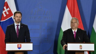 Heger sa pred summitom EÚ stretol s Orbánom. Pokúšal sa ho presvedčiť o ropnom embargu