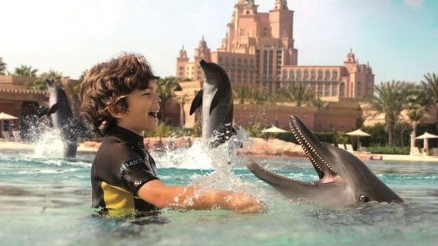 Plávanie s delfínmi.