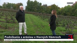 Podnikanie s aróniou v Horných Hámroch