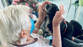 Psi do postele: Zvieracie návštevy priniesli radosť na oddelenie dlhodobo chorých