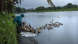 Silné monzúnové dažde si v Indii vyžiadali ďalšie obete i nezvestných