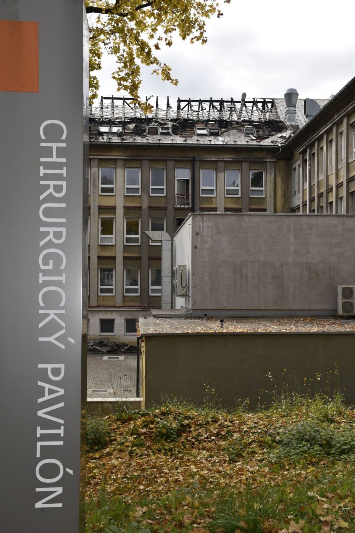 TASR / Miroslava Mlynárová